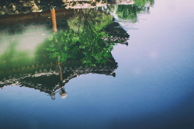 Reflection of trees in lake