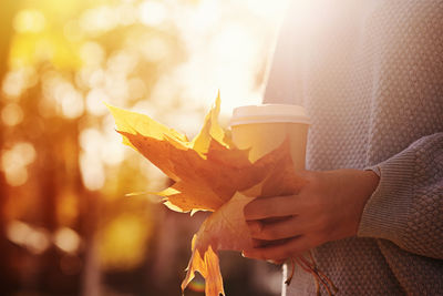 Close-up of woman hand holding leaf