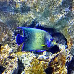 Close-up of rock formation