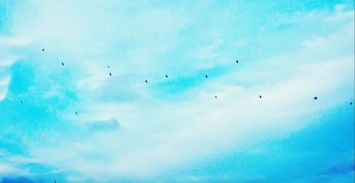 Low angle view of bird flying against blue sky