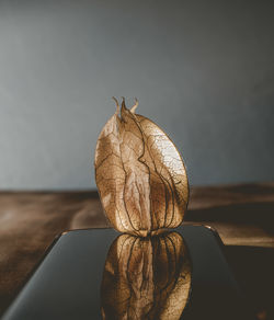 Close-up of bread on table