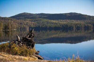 Scenic view of lake by trees against sky
