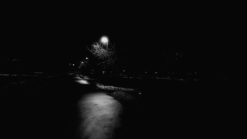 Illuminated trees against clear sky at night