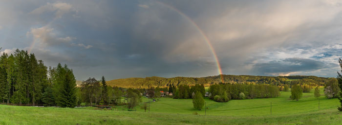 Panoramic view of trees on field against rainbow in sky