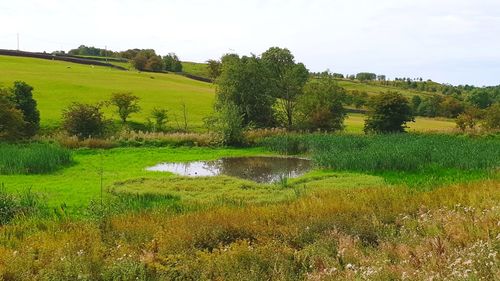 Scenic view of field against sky