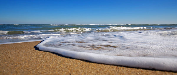 Foamy wave at the cape cod national seashore