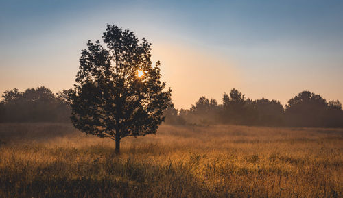 Scenic view of landscape against sky during sunset