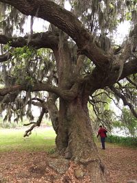 Full length of people walking on tree trunk