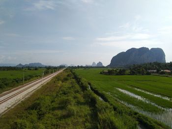 Scenic view of agricultural field against sky