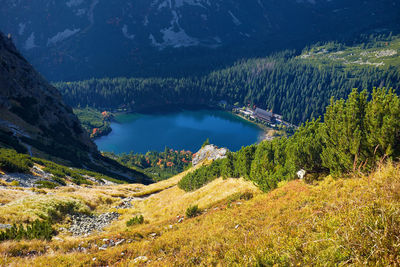 Scenic view of lake by trees in forest