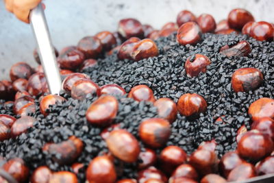 Close-up of hand holding berries