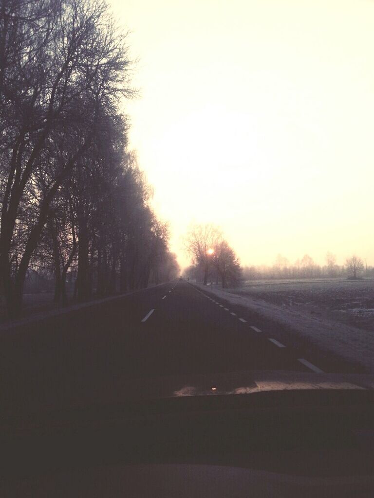 transportation, road, the way forward, tree, sunset, diminishing perspective, road marking, clear sky, vanishing point, country road, tranquility, sky, bare tree, silhouette, tranquil scene, nature, car, landscape, empty road, street