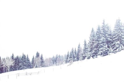 Trees on snow covered landscape against clear sky