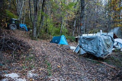 Garbage amidst trees in forest