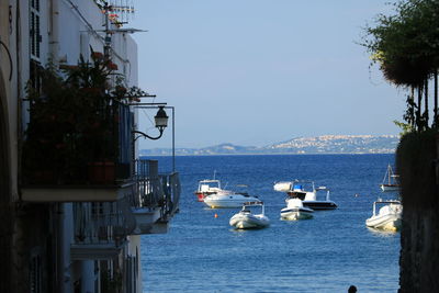 Sailboats moored on sea against clear sky