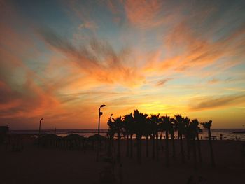 Silhouette of palm trees on beach at sunset