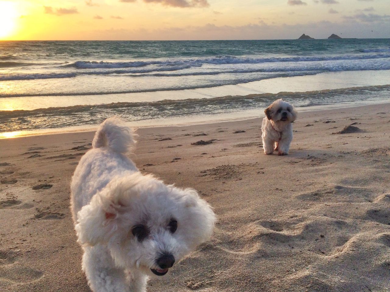 Kailua Beach