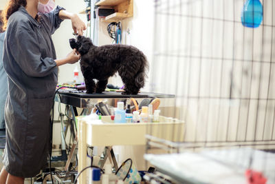 Midsection of woman grooming dog in salon