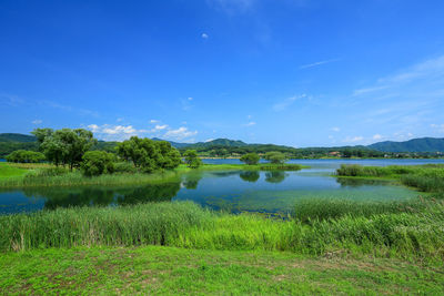 Scenic view of lake against blue sky