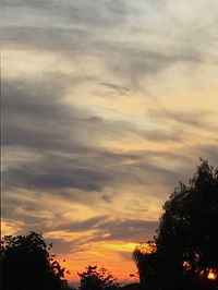 Low angle view of silhouette trees against dramatic sky