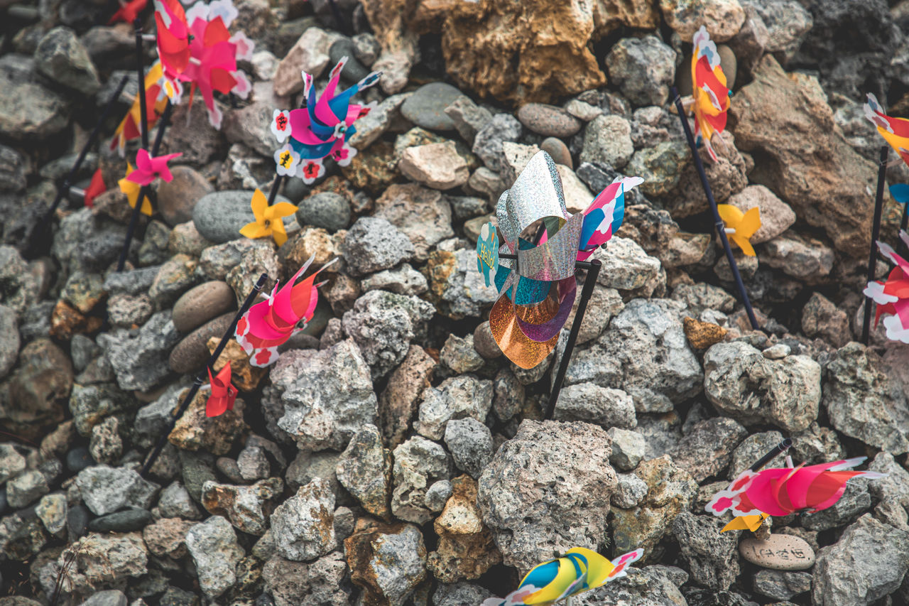 rock, nature, day, high angle view, no people, multi colored, geology, land, soil, outdoors, flower, sunlight, flowering plant, butterfly, beauty in nature, leaf, stone