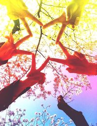 Low angle view of flowering tree