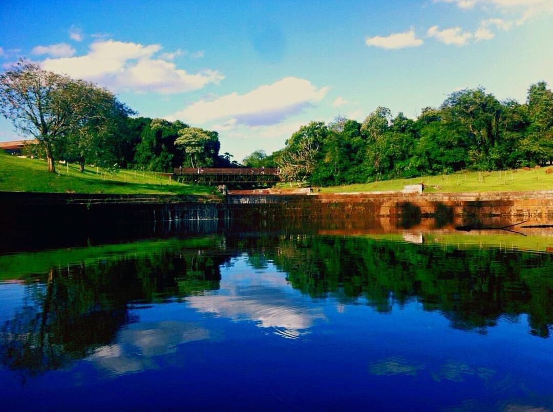 Jardim botanico