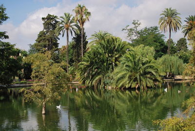 Scenic view of lake