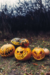 Close-up of pumpkin on field during autumn