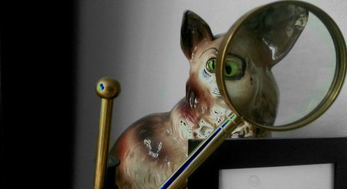 Close-up of food on table