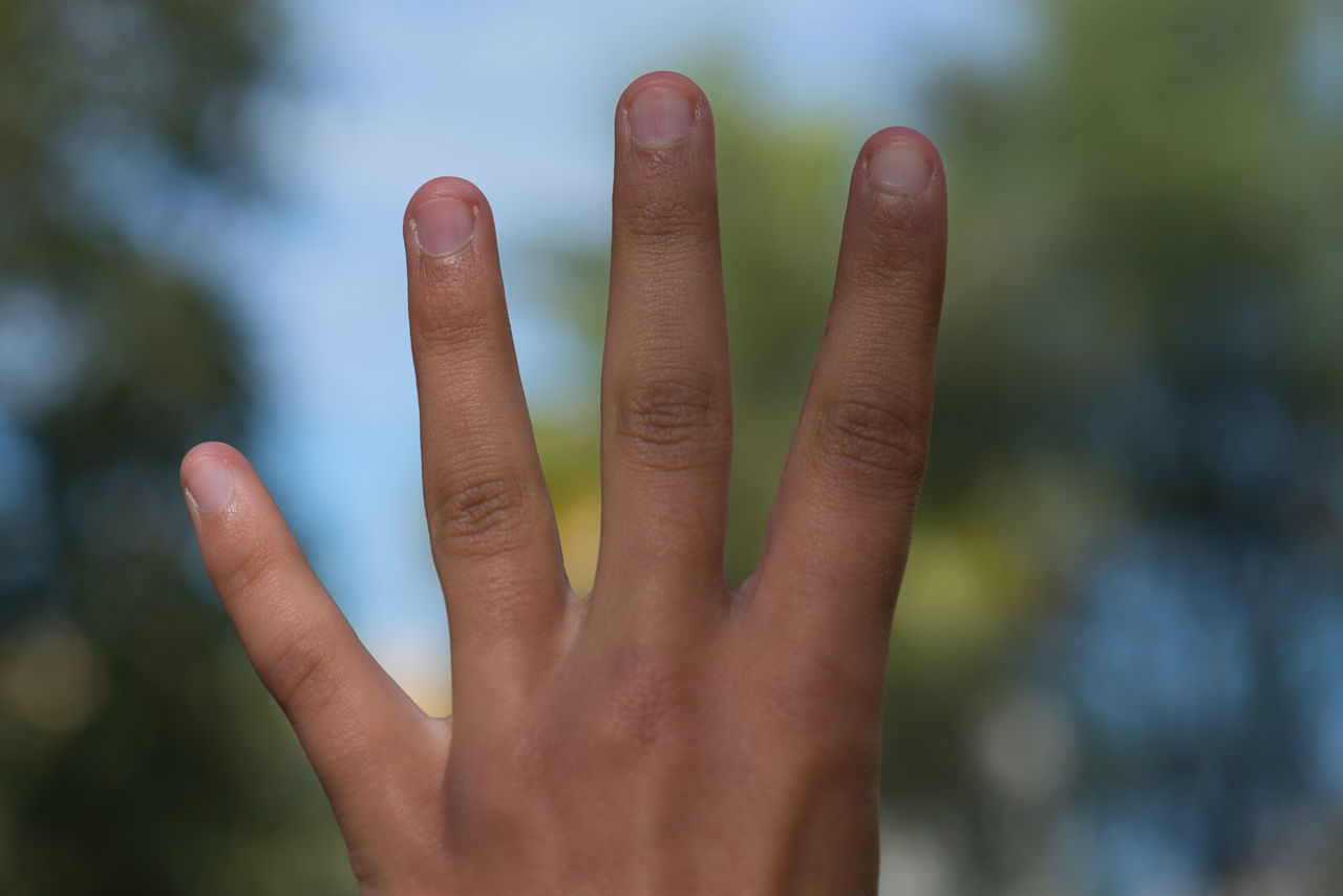 CLOSE-UP OF HAND