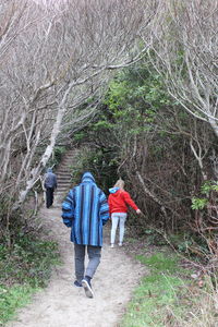 Rear view of people walking on footpath in forest