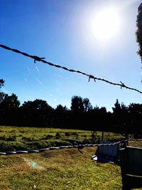 Scenic view of grass against clear sky