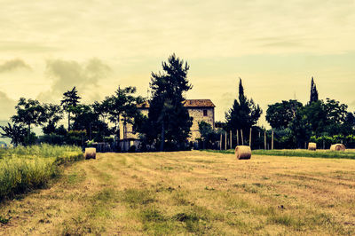 Trees on grassy field against cloudy sky