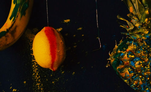 Close-up of fruits growing on farm