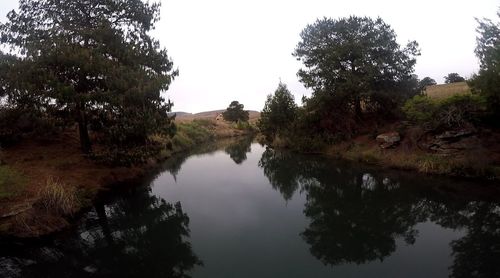 Reflection of trees in lake against clear sky
