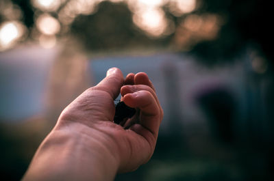 Cropped hand of person holding insect outdoors