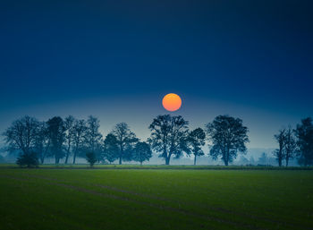 A summer sun rising in a very hazy morning with lots of dust particles in the air. misty sunrise. 