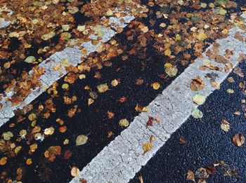 HIGH ANGLE VIEW OF ROAD MARKING ON STREET