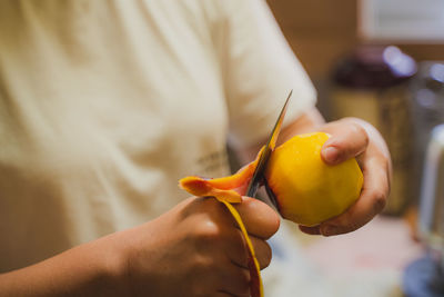 Midsection of woman holding apple