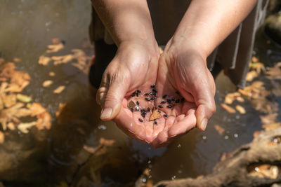 High angle view of hands holding water