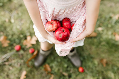 Low section of person holding strawberry