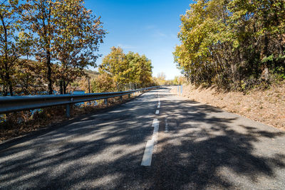 Road through autumn beech forest