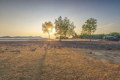 Scenic view of beach against sky during sunset