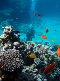 Man wearing scuba mask gesturing underwater