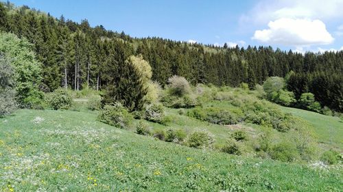 Scenic view of land against sky