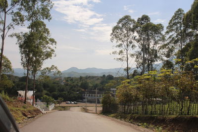 Road amidst trees and plants against sky