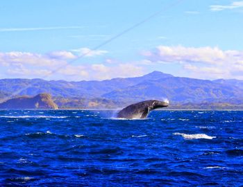 Scenic view of sea and mountains