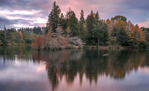 Scenic view of lake by trees against sky