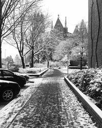 Walkway along bare trees